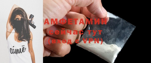 сатива Михайлов
